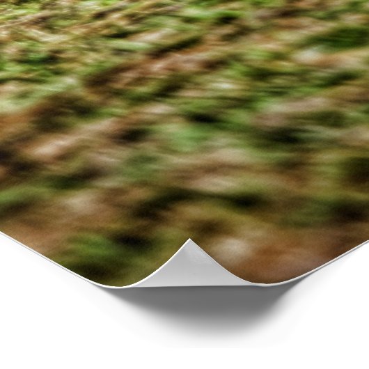 '70 Super Bee Poster (Ecke)