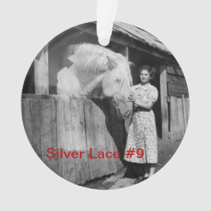 70. Verzierung der Jahrestags-silberne Spitze-#9 Ornament