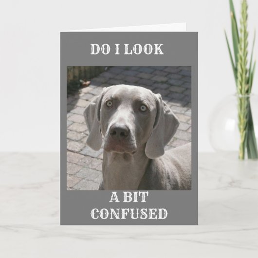 "70" WIE KANN ES SAGEN, WEIMARANER CARD KARTE (Vorderseite)
