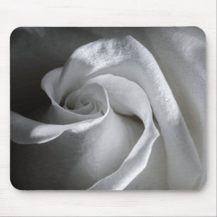 7181-Weiße Rose mit Taub Mousepad