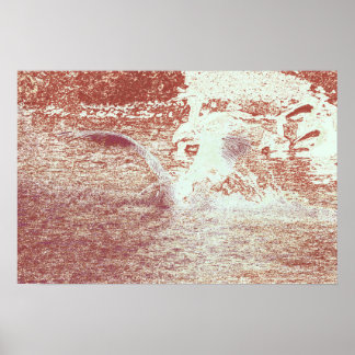 71b poster