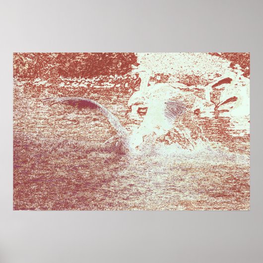 71b poster (Vorne)