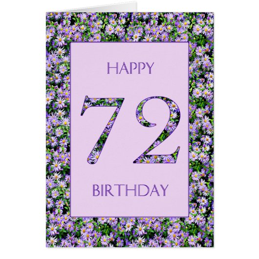 72. Geburtstag Lila Daisies (Vorne)