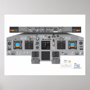 737NG schicken Platte nach Poster