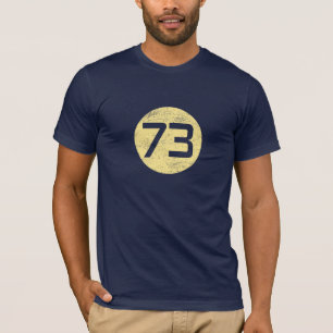 73 - Der perfekte T - Shirt