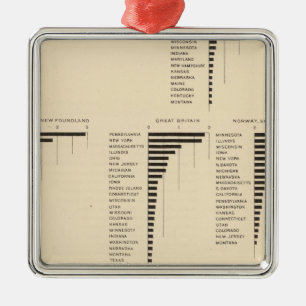 73 Staatsangehörige bestimmter Länder Silbernes Ornament