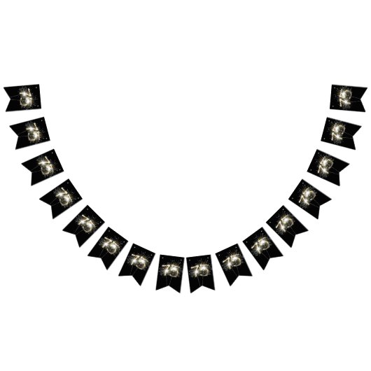 75. Geburtstag oder Geburtstag Party Sparklers Wimpelkette (Alle)