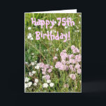 75. Geburtstags-Karte Karte<br><div class="desc">Fotografie einiger hübscher wilder Blumen späten Nachmittag genommen. Rosa Text:  "Glücklicher 75. Geburtstag!"  Innere in der blauen Beschriftung: Haben Sie einen wunderbaren Tag!</div>