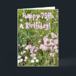 75. Geburtstags-Karte Karte<br><div class="desc">Fotografie einiger hübscher wilder Blumen späten Nachmittag genommen. Rosa Text:  "Glücklicher 75. Geburtstag!"  Innere in der blauen Beschriftung: Haben Sie einen wunderbaren Tag!</div>
