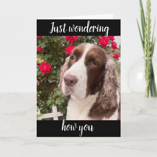 **75. & SIE SIND IMMER FABULOUS**! BIRTHDAY CARD KARTE (Vorderseite)