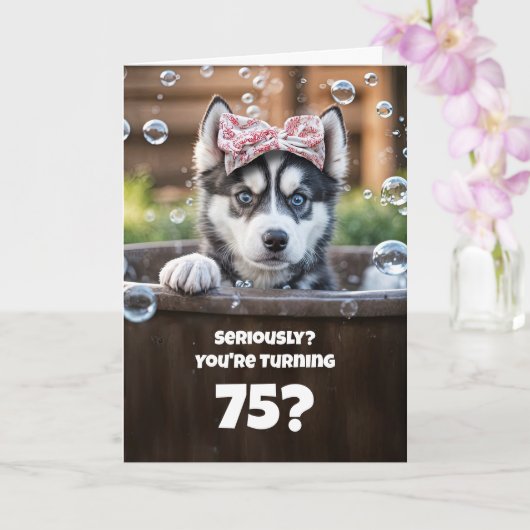 75th Funny Husky Dog Bath Cute Birthday Karte (Orchidee)