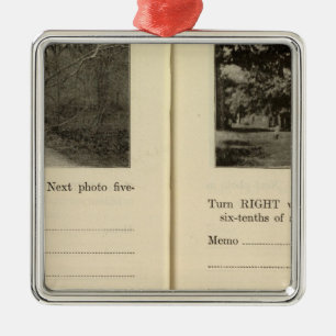 77881 Crotonon der Hudson Buchanan Silbernes Ornament