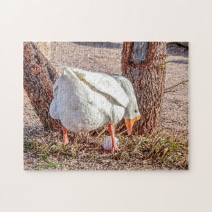 7928-Weiße Gans Stehend über Eierpuzzle Puzzle