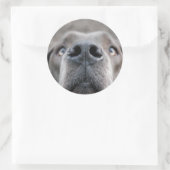 7,6 cm Aufkleber Doggennase (Tasche)