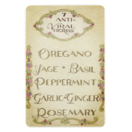 7 Anti-Viral Herbs 4" x 6" Magnet