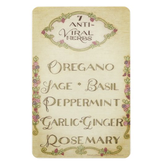 7 Anti-Viral Herbs 4" x 6" Magnet (Vertikal)