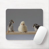 7 Baby Haustiere Hühner auf einer Perle Mousepad (Mit Mouse)
