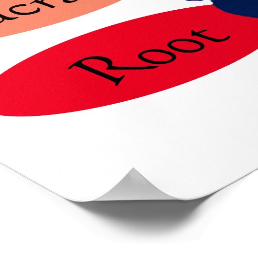 7 Chakras 24x24" Poster (Ecke)