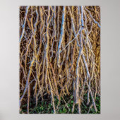 7 Drucke, Plakatpapier (halbglänzend) Poster (Vorne)