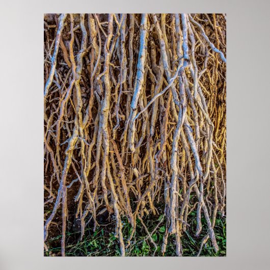 7 Drucke, Plakatpapier (halbglänzend) Poster (Vorne)