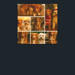 7 Fotovorlagen-Collage Personalisiert Leinwanddruck<br><div class="desc">Entfesseln Sie Ihre Kreativität und verwandeln Sie Ihre Wände in eine faszinierende Galerie mit den personalisierten Leinwänden von Ricaso aus 7 Fotomaterial! - Mit sieben Ihrer Lieblings-Fotos oder Ihrem eigenen Kunstwerk individuell gestalten - einfach zu bedienende Vorlage,  perfekt für sich selbst oder ein Geschenk für andere.</div>