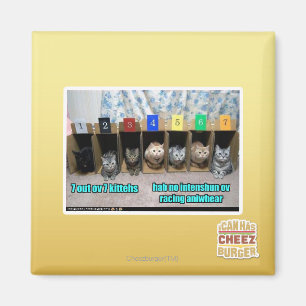 7 heraus ov 7 kittehs magnet