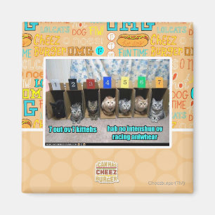 7 heraus ov 7 kittehs magnet