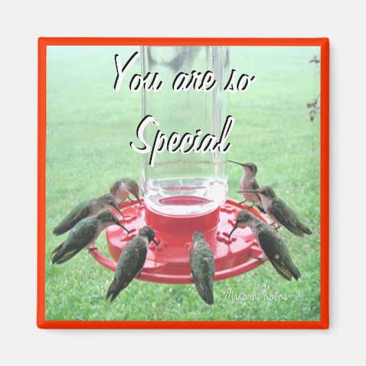 7 Hummingvögel - anpassen Magnet (Vorne)