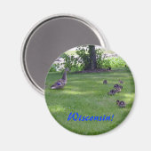 7 Kleine Ducklings Magnet (Vorderseite/Rückseite)