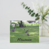 7 Kleine Enten Postkarte (Stehend Vorderseite)