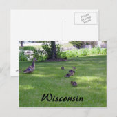 7 Kleine Enten Postkarte (Vorne/Hinten)