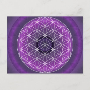 7 Kronchakra von Tutti Postkarte
