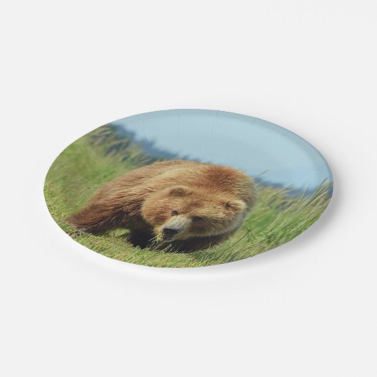7" Papierplatte mit Grizzlybär Pappteller (Schrägansicht)