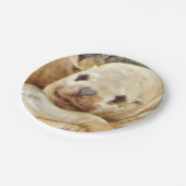 7" Papierplatte mit Siegel Pappteller (Schrägansicht)