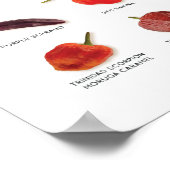 7 Pot Club 2019 Grow List Poster (Ecke)