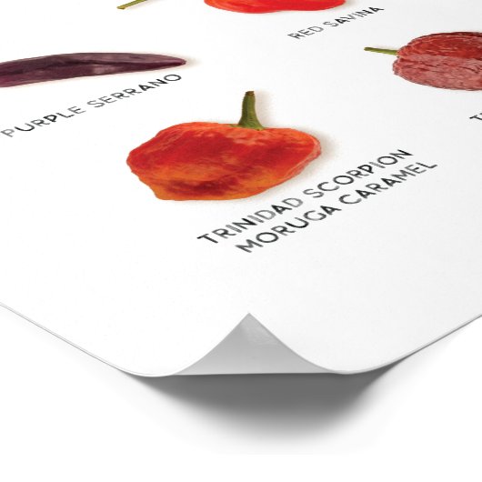 7 Pot Club 2019 Grow List Poster (Ecke)