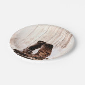 7" Rundpapier Bohle Land Rustikaler Western Pappteller (Schrägansicht)