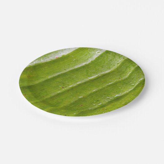 7" Rundpapierplatte mit reinem Bananenblatt Pappteller (Schrägansicht)