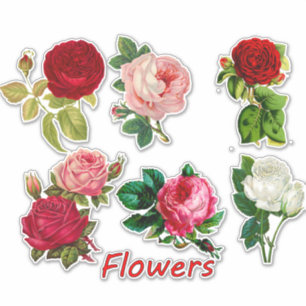 7 Schöne Rose für Scrapbooking Aufkleber