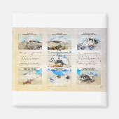 7 Summits Magnet (Vorne)