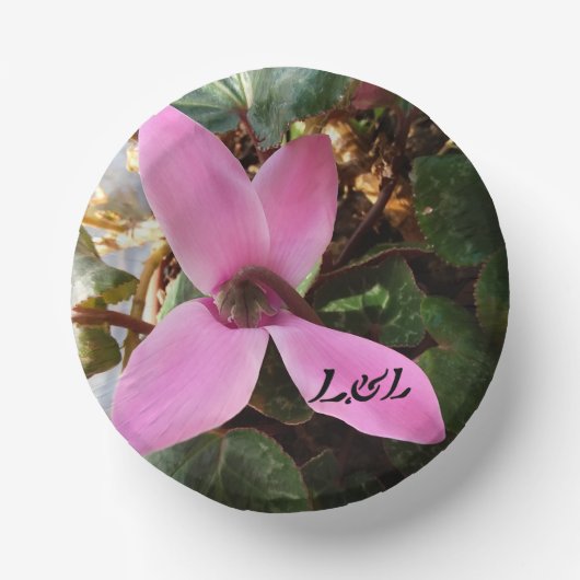 7"Teller Pappteller (Vorderseite)