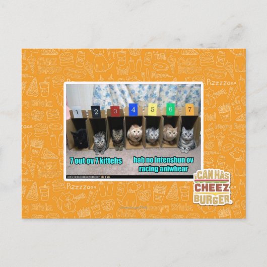 7 vor 7 Kätzchen Postkarte (Vorderseite)