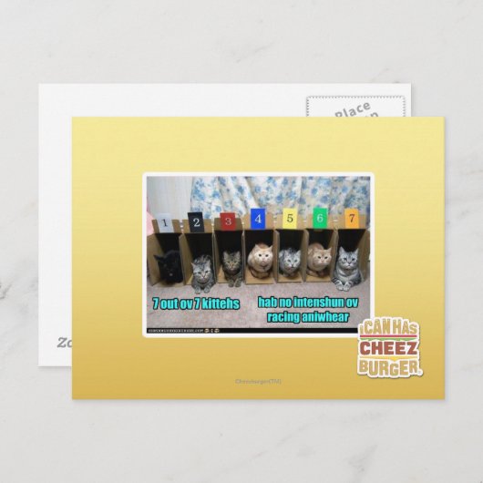7 vor 7 Kätzchen Postkarte (Vorne/Hinten)