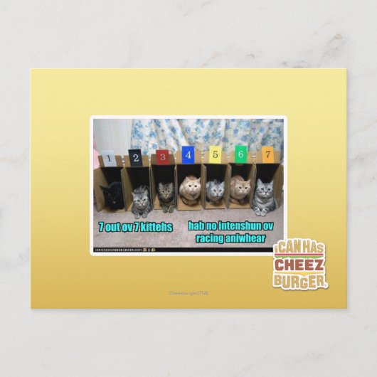 7 vor 7 Kätzchen Postkarte (Vorderseite)
