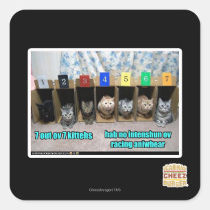 7 vor 7 Kätzchen Quadratischer Aufkleber