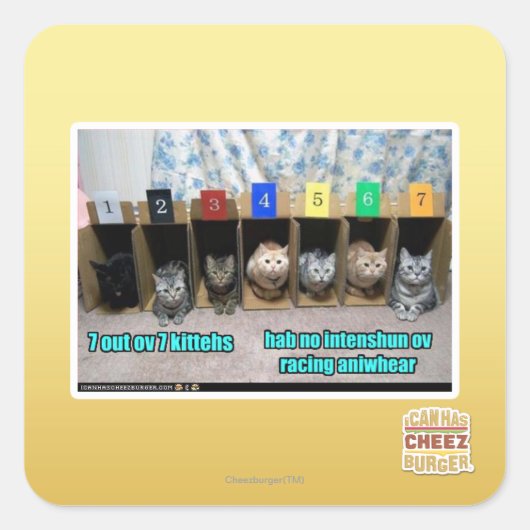 7 vor 7 Kätzchen Quadratischer Aufkleber (Vorderseite)