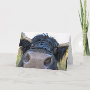 7"x5" Faltkarte   Banana Peel Cow Karte