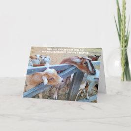 7"x5" Faltkarte | Hey-Hay! Wo ist meine? Karte