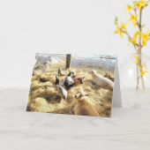 7"x5" Faltkarte | Kritter in Hay Karte (Gelbe Blume)