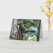 7"x5" Faltkarte | Tree Eichhörnchen Foto Paint Karte (Gelbe Blume)